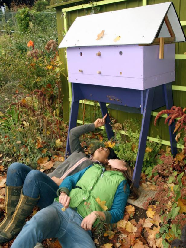 Observation Hive Observation Hive