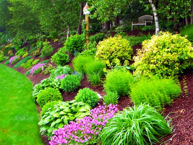 Landscape Design Ideas | Landscape Design Ideas | DIY