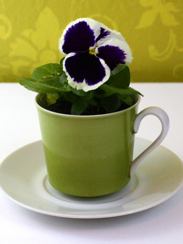 Garden Season l DIY Charming Teacup Planters l See more at http://gardenseason.com/diy-charming-teacup-planters