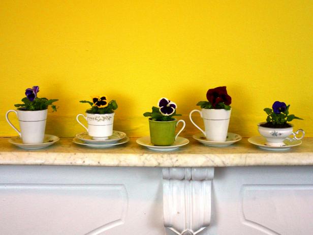 How to Turn Old Teacups and Saucers into Garden Planters - DIY Network