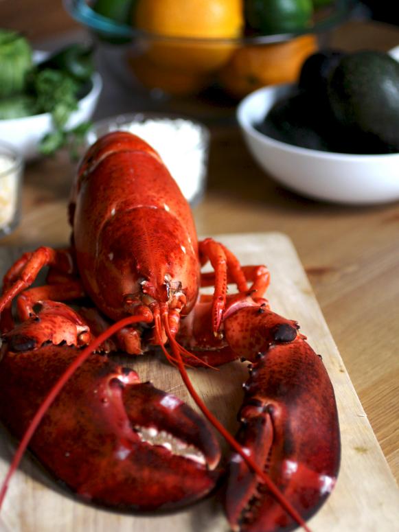 CI-Manvi-Droni_lobster_3x4 CI-Manvi-Droni_lobster_3x4