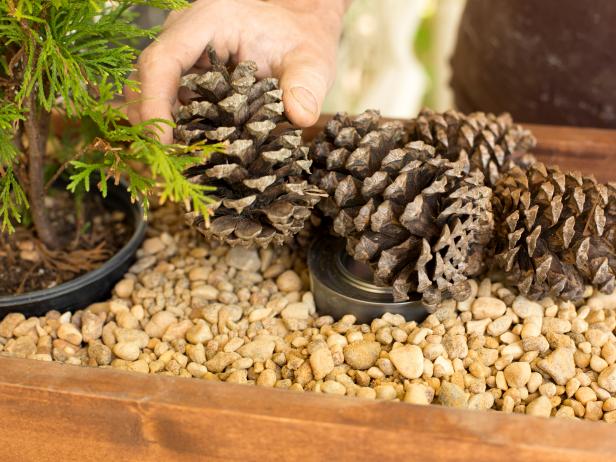 Original-Smores-Roasting-Station_cover-sterno-cans-with-pine-cones_4x3 Original-Smores-Roasting-Station_cover-sterno-cans-with-pine-cones_4x3