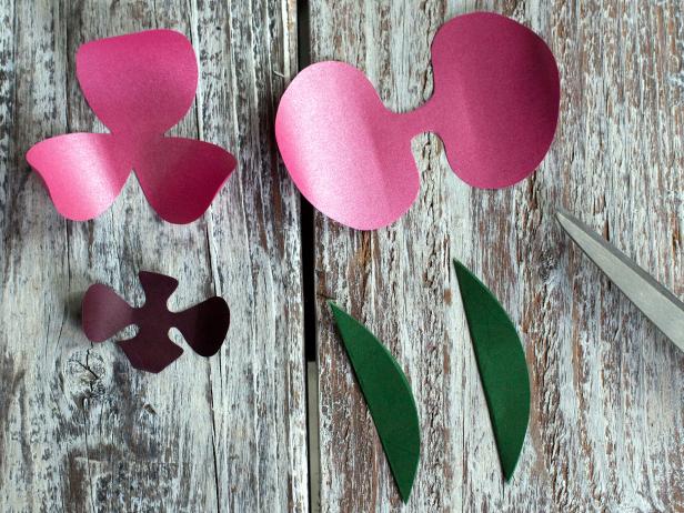 CI-Lia-Griffith_Paper-orchid-cutouts-Step2_4x3 CI-Lia-Griffith_Paper-orchid-cutouts-Step2_4x3