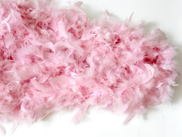 Bird Wings Costume Feathers