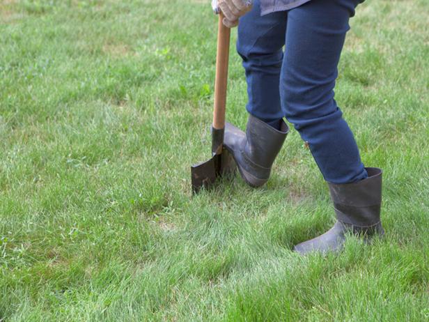 Thinkstock_146919961_grass-digging-spade Thinkstock_146919961_grass-digging-spade