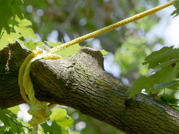 Original_Tree-House_step-22_4x3 Original_Tree-House_step-22_4x3