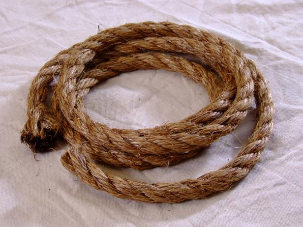 CI-Chris-Hill_Tire-Swing-Rope-1_h CI-Chris-Hill_Tire-Swing-Rope-1_h