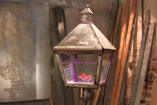 After: Out-of-the-Ordinary Aquarium After: Out-of-the-Ordinary Aquarium