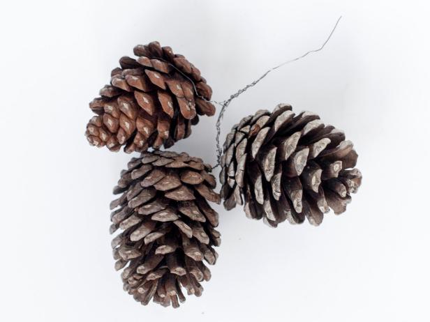Original-TomKat_Christmas-pine-cone-gallery-step3_h Original-TomKat_Christmas-pine-cone-gallery-step3_h