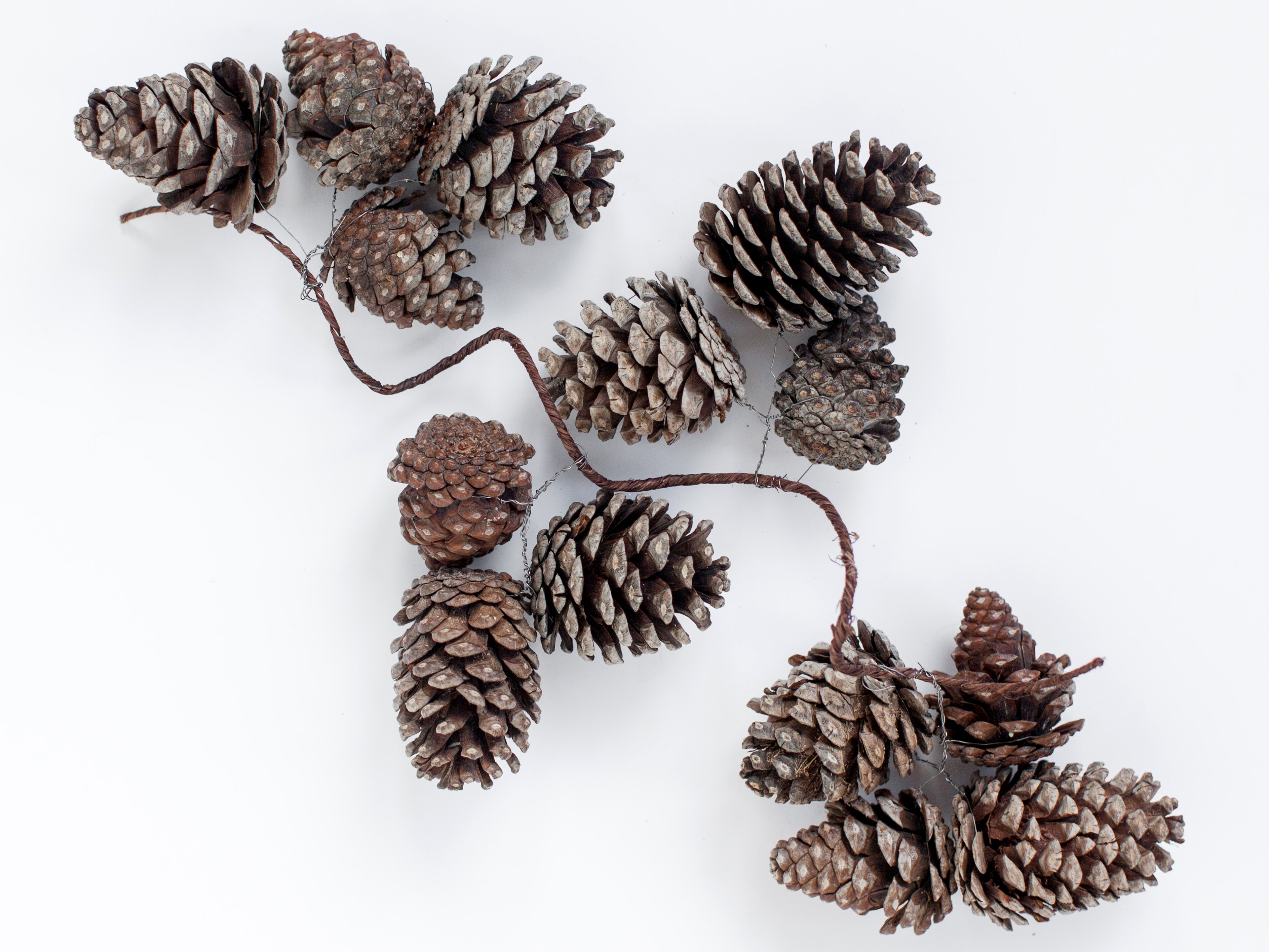 Гирлянда Garland Pinecone