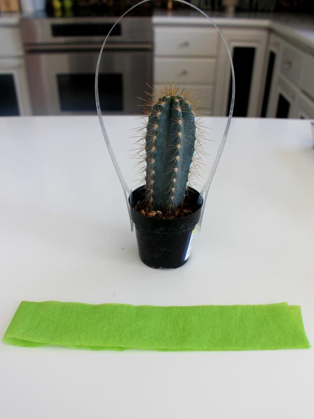 CI-Michelle-Kim_Cactus-party-favor-cut-crepe-paper_h CI-Michelle-Kim_Cactus-party-favor-cut-crepe-paper_h