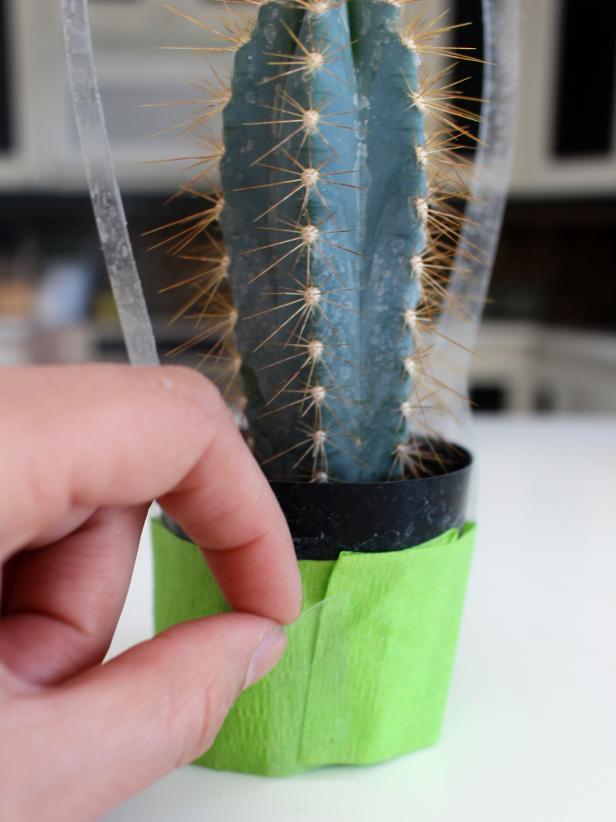 CI-Michelle-Kim_Cactus-party-favor-wrap-crepe-paper_v CI-Michelle-Kim_Cactus-party-favor-wrap-crepe-paper_v