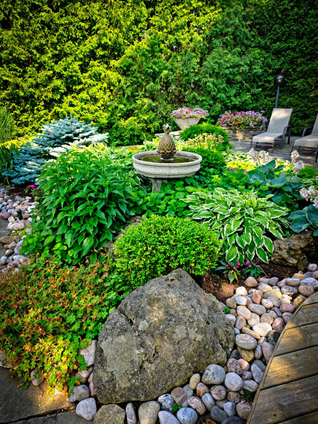 How to Grow Grass in the Shade howtos DIY