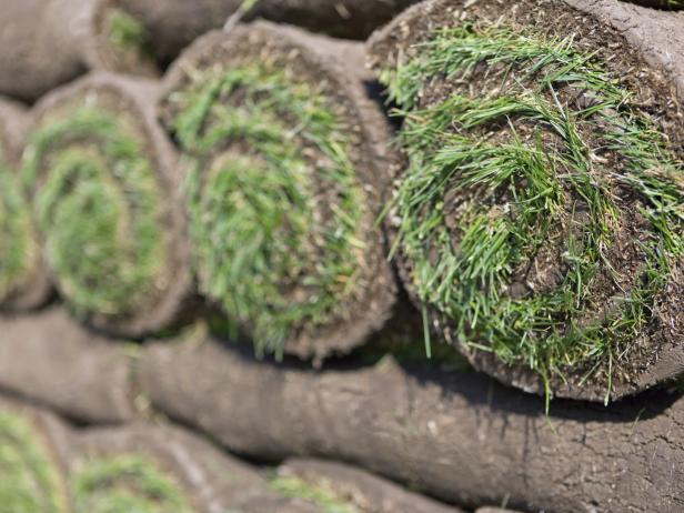 How to Install Sod