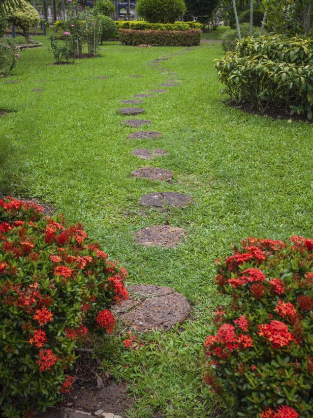 Foot path through shady area of lawn