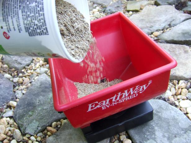 CI_JulieMartens_Grass-seed-in-spreader_h CI_JulieMartens_Grass-seed-in-spreader_h