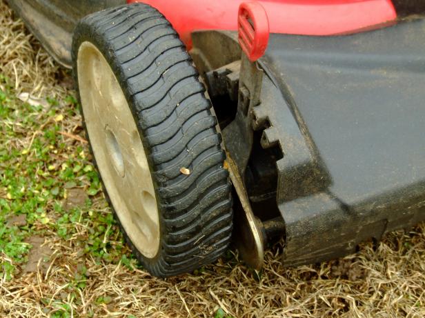 CI-Chris-Hill_-lawnmower-tire_h CI-Chris-Hill_-lawnmower-tire_h