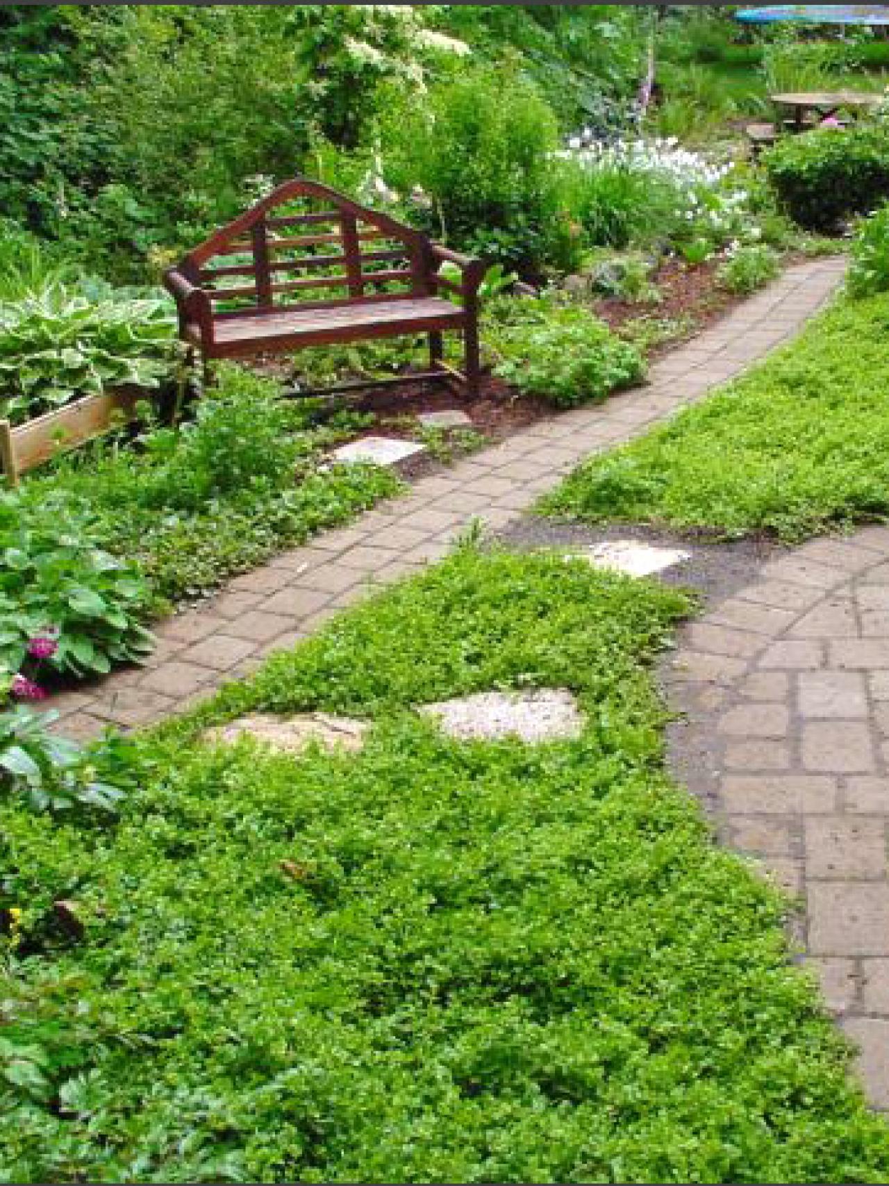 Replacing Your Lawn With Landscaping | DIY