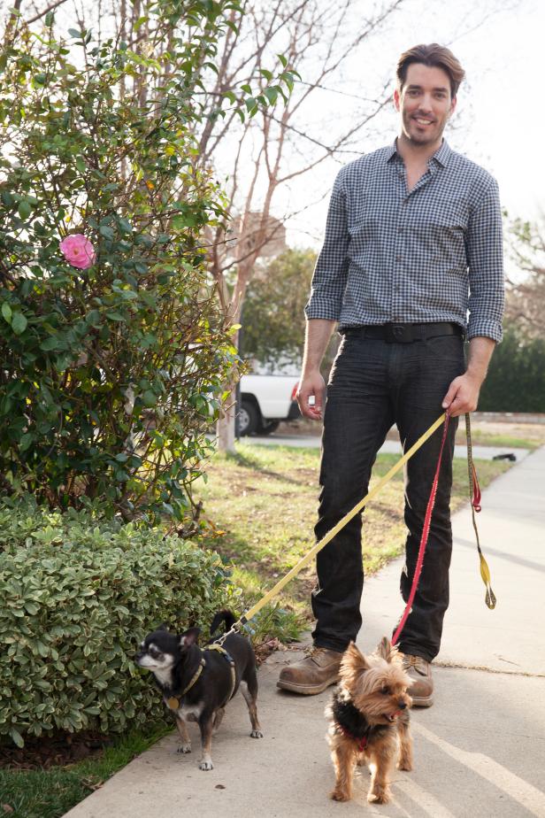 talentmaster_DIY-Jonathan-Scott-walks-dogs-Stewie-and-Grace_s3x4 talentmaster_DIY-Jonathan-Scott-walks-dogs-Stewie-and-Grace_s3x4