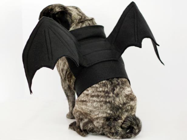 CI-Carla-Wiking_Halloween-dog-costume-bat-wings-back_h CI-Carla-Wiking_Halloween-dog-costume-bat-wings-back_h
