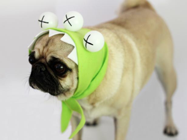 CI-Carla-Wiking_Halloween-dog-monster-costume_h CI-Carla-Wiking_Halloween-dog-monster-costume_h