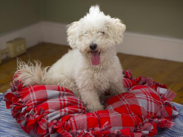 Original-617Media_No-Sew-Dog-Bed-Beauty_h Original-617Media_No-Sew-Dog-Bed-Beauty_h