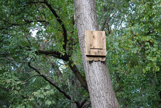 How to make a cedar bat house. How to make a cedar bat house.