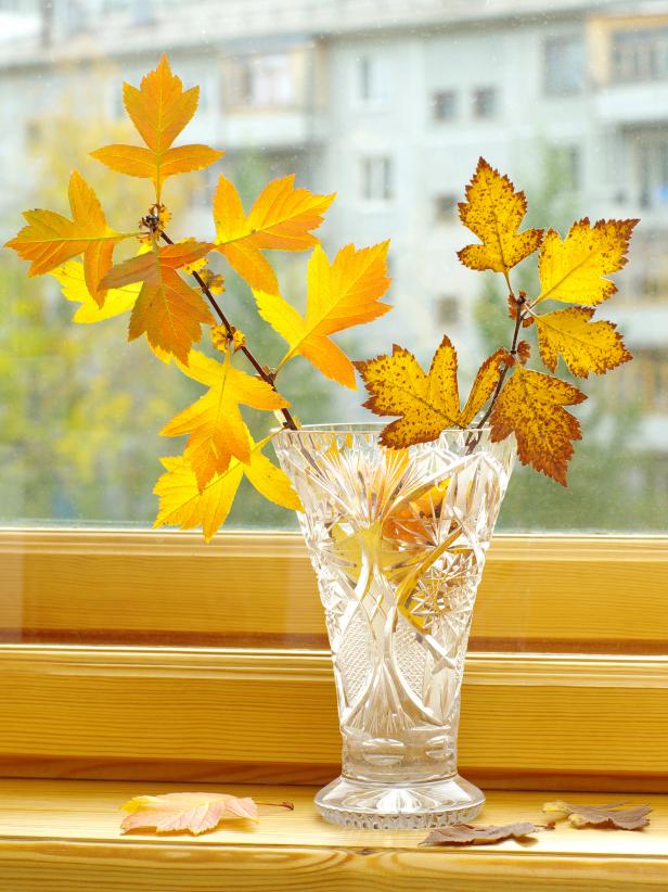 autumn branch in bowl autumn branch in bowl