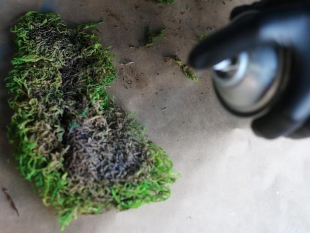 After the primer is dry, use the can of spray adhesive to help the moss bond to the plywood number. For proper coverage, keep the can held 8 inches from the surface of the bottom of the moss, then move back and forth in controlled, even spurts.