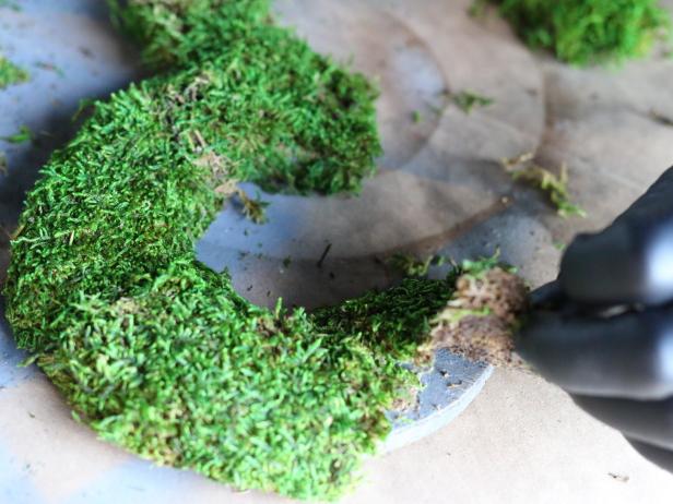 Piece the moss together along the front and the sides of the plywood numbers until all of the primed wood is covered by moss.