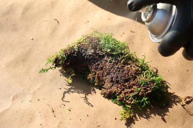 Turn each section of moss upside down, then lightly coat it with spray adhesive.