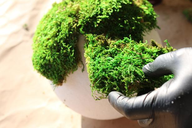 Cover entire surface of each sphere with moss by slightly overlapping pieces, covering the sphere in sections.