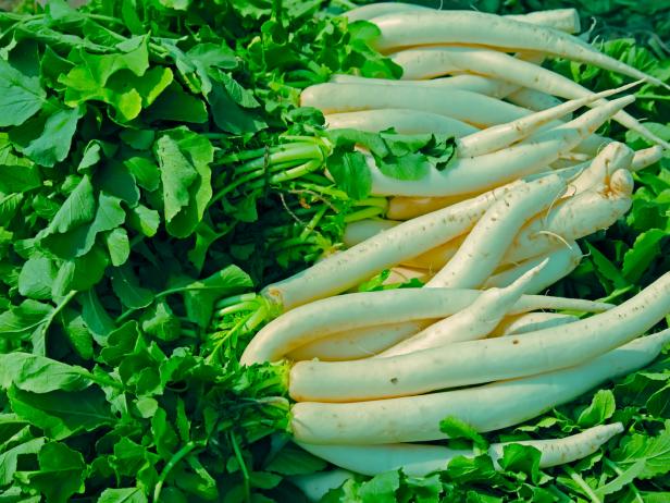 Green vegetable white radish raphanus sativus growing in field, Green vegetable white radish raphanus sativus growing in field,