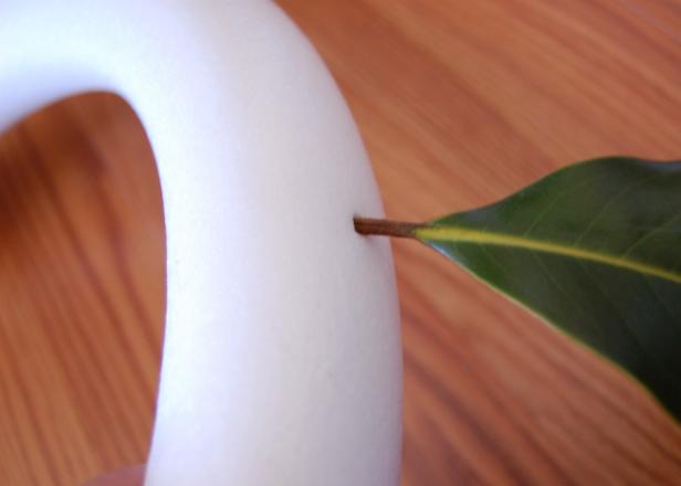 Magnolia Leaf and Foam Form for DIY Magnolia Leaf Wreath Magnolia Leaf and Foam Form for DIY Magnolia Leaf Wreath