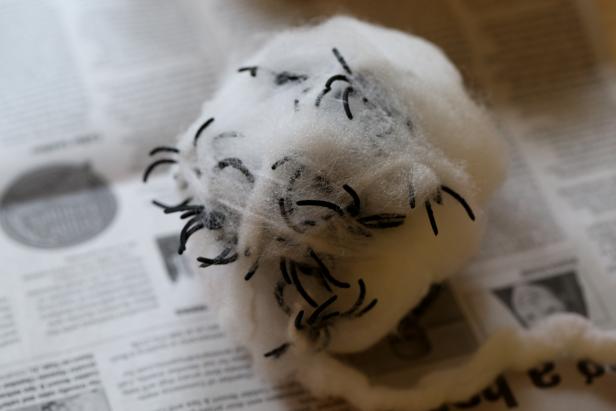 Add Spider to the Fake Spider Nest Add Spider to the Fake Spider Nest
