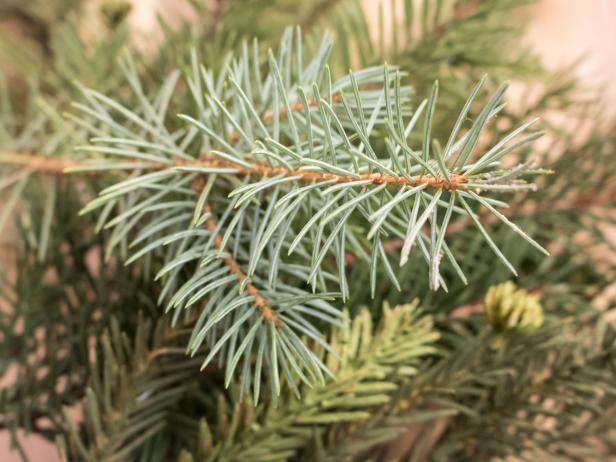 How to Secure and Maintain Your Christmas Tree How to Secure and Maintain Your Christmas Tree