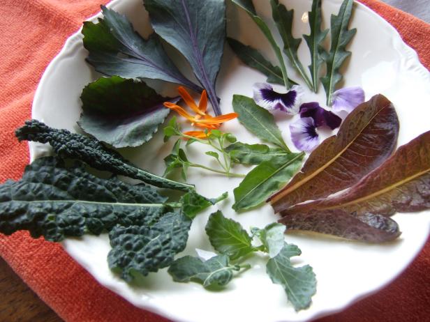 Late Fall Greens In Salad Bowl Late Fall Greens In Salad Bowl