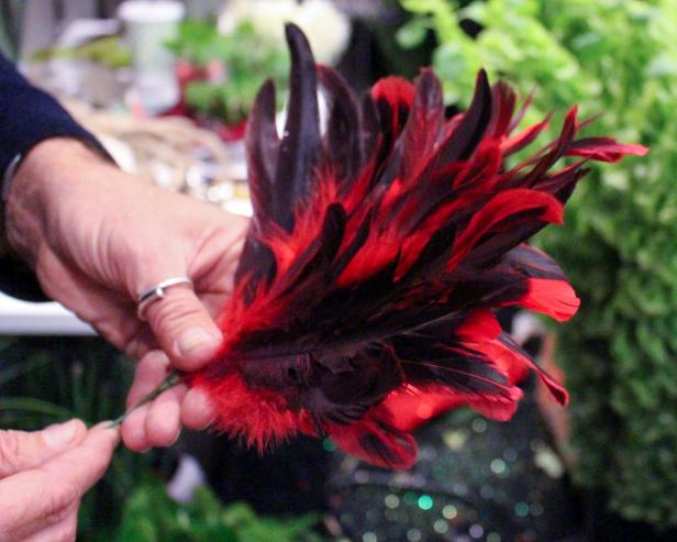 Feathers feathers