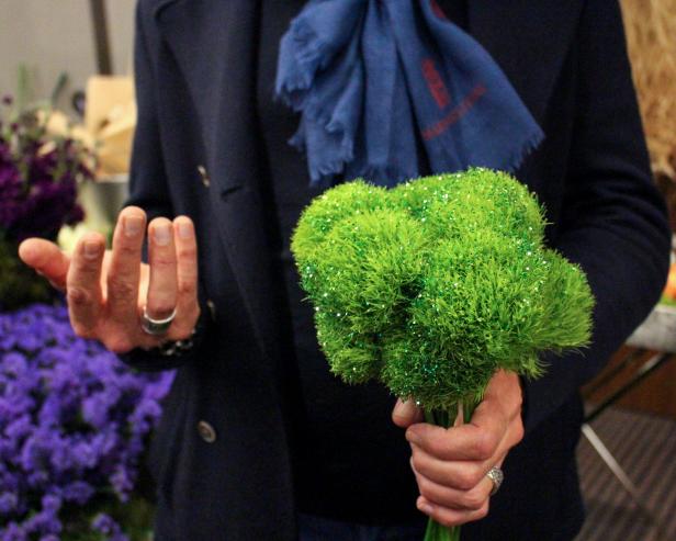 Green Ball Plants plant