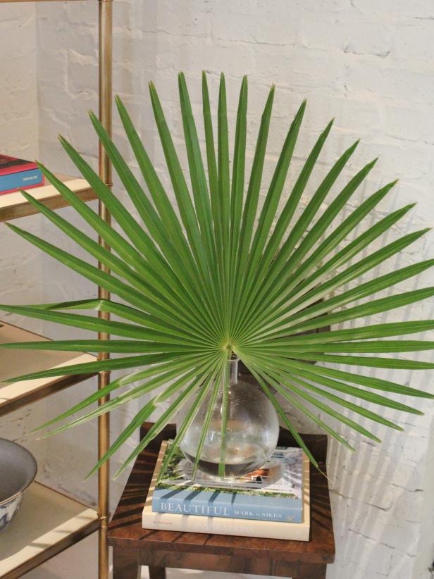 Palm Frond Palm Frond