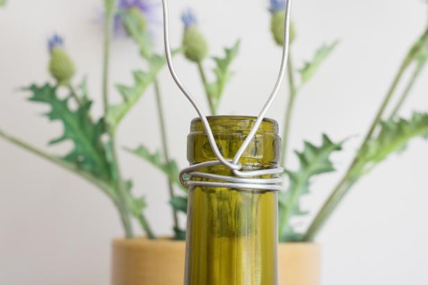DIY Wasp Catcher Made From a Wine Bottle DIY Wasp Catcher Made From a Wine Bottle