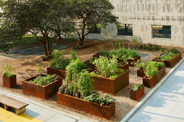 Raised Garden Boxes in the UN Food Gardens with Dogwood Trees Raised Garden Boxes in the UN Food Gardens with Dogwood Trees