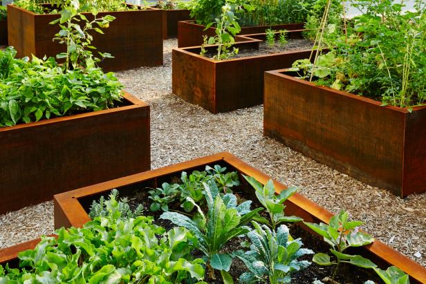 Raised Garden Beds Filled with Vegetables and Wildflowers Raised Garden Beds Filled with Vegetables and Wildflowers