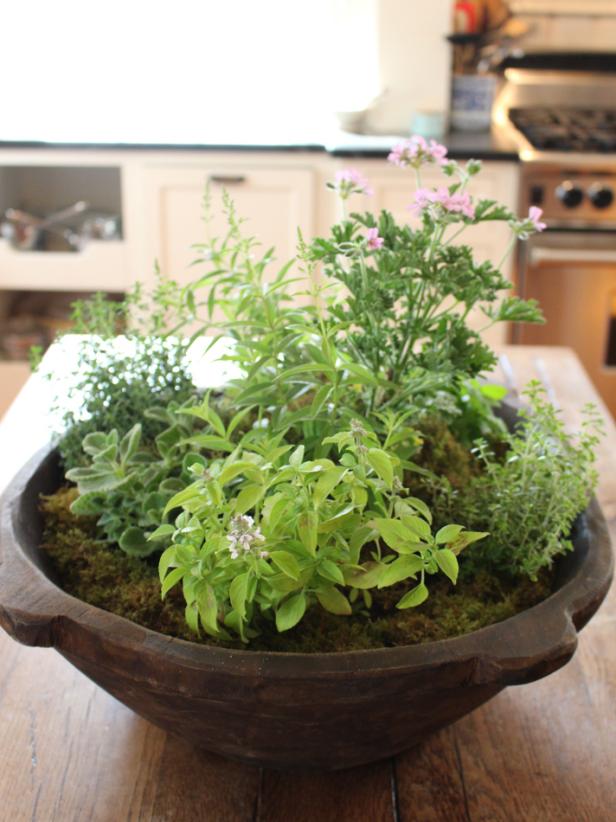 Rustic Bowl Planter Rustic Bowl Planter