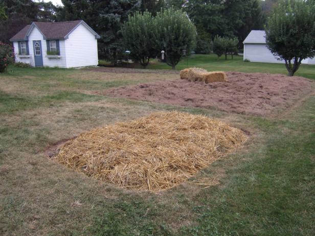 Asparagus Planting Bed Asparagus Planting Bed