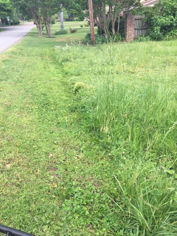 Lawn Makeover Lawn Makeover