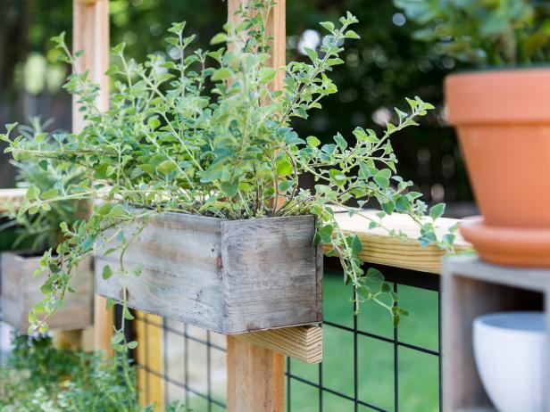 Create a plant filled privacy screen