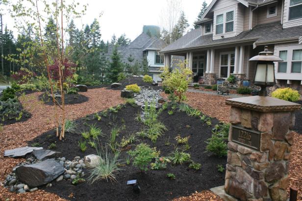 Front Yard Rain Garden With Birch Trees Front Yard Rain Garden With Birch Trees