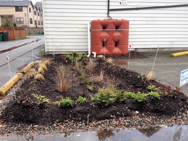 Rain Barrel and Rain Garden in Parking Lot Rain Barrel and Rain Garden in Parking Lot