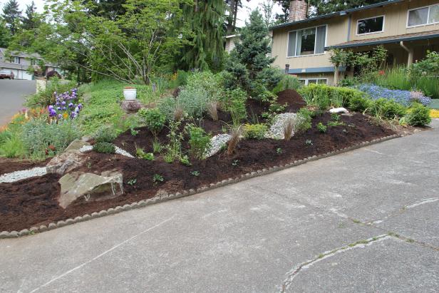 Rain Garden On a Slope Rain Garden On a Slope